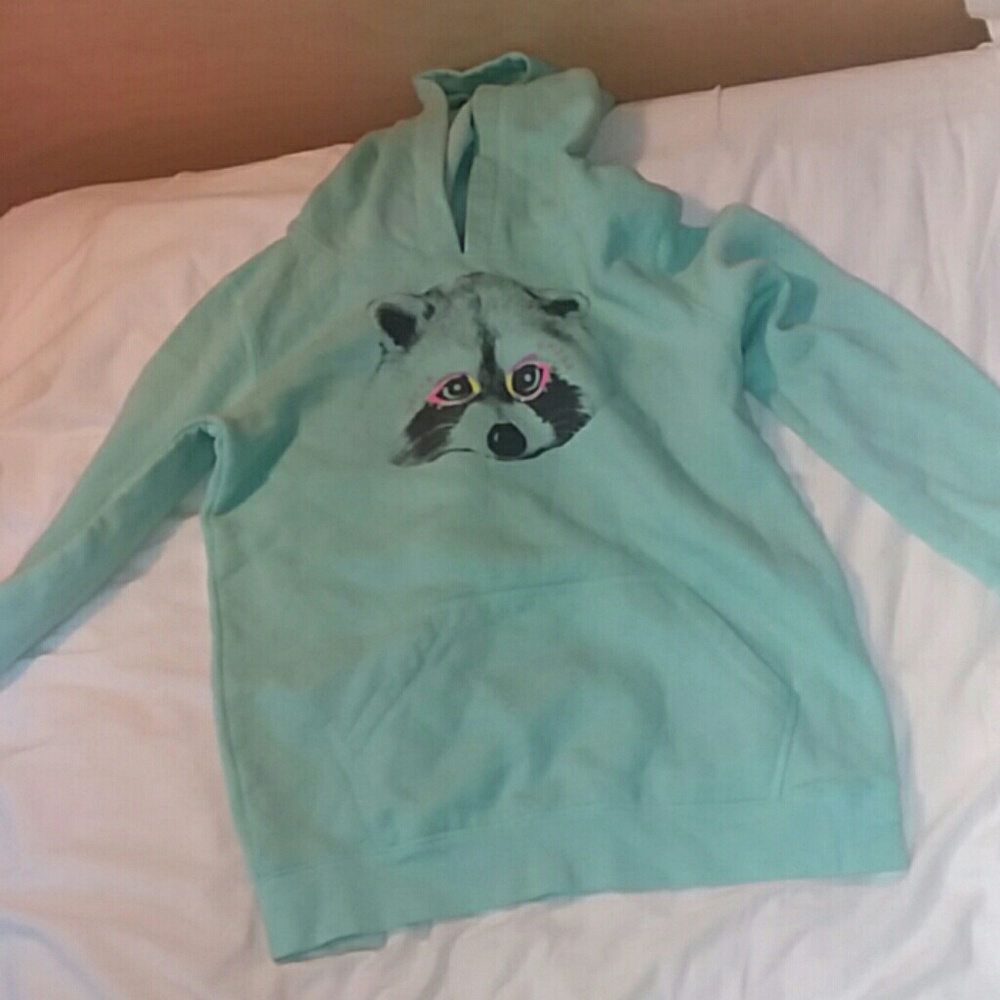 Raccoon Hoodie
